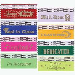 100 Assorted Recognition Ribbons with Case
