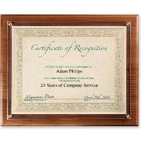 Instant Plaque Kit