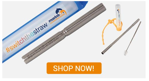 HI-19011FC - Expandable Steel Straw With Case - Full Color - Shop Now!