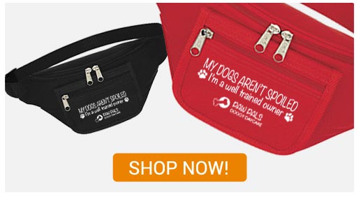 OD-20011 - Bay View Fanny Pack With Organizer - Shop Now!