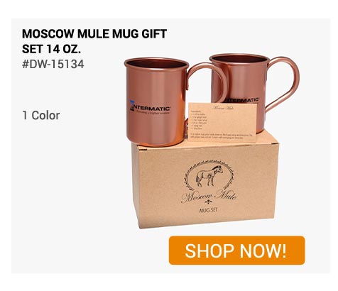 Moscow Mule Mug Gift Set 14 Oz.