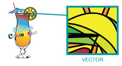 Vector File Close-Up