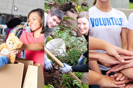 Volunteer McKinney