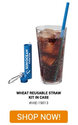 HIE-19013 - Wheat Reusable Straw Kit In Case - Shop Now!